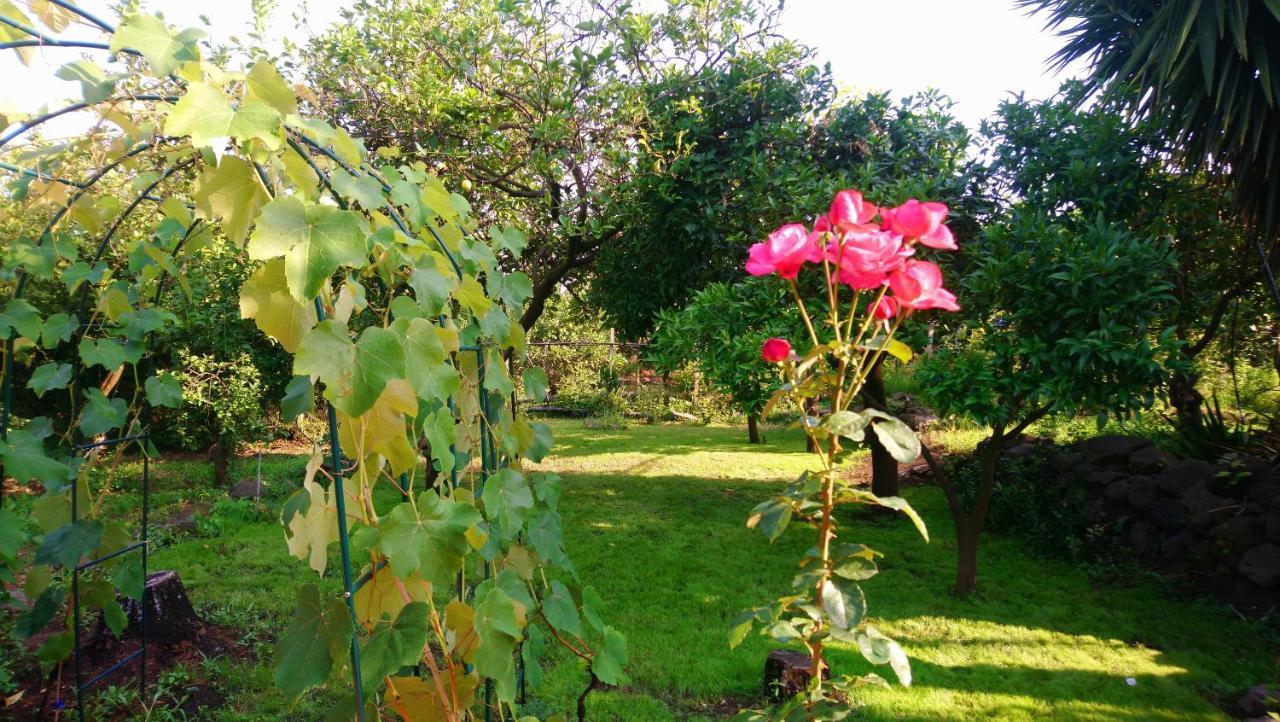 B&B Casanera Riposto Ngoại thất bức ảnh