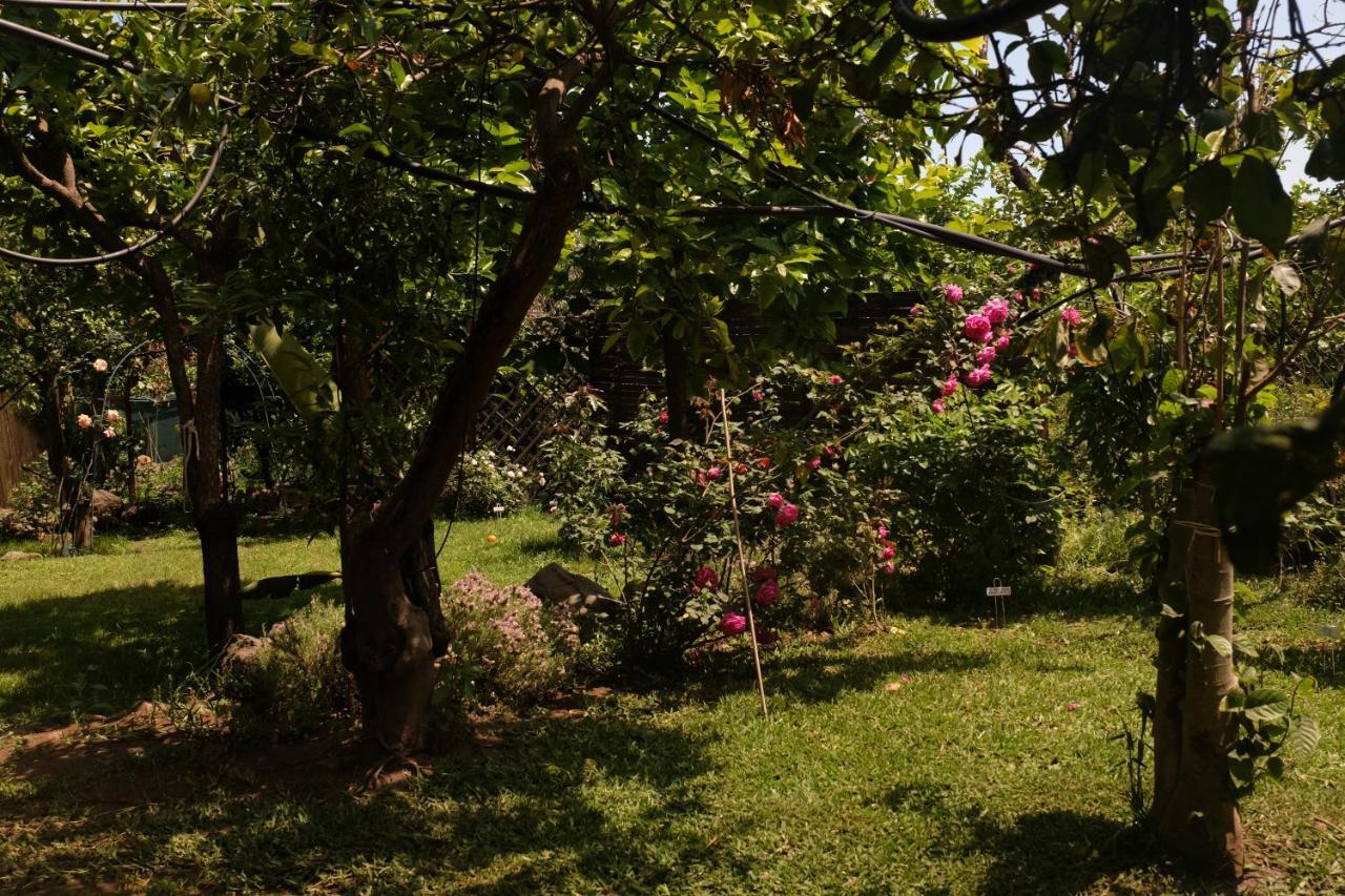 B&B Casanera Riposto Ngoại thất bức ảnh